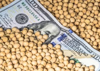 Desde la Federación Agraria critican las medidas anunciadas por el Gobierno nacional