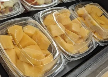 Reportan ocho muertes por brote de salmonella en Canadá y Estados Unidos