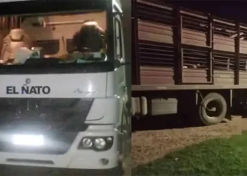 Otra tragedia en el país: un hombre quiso descargar su camión, quedó atrapado entre el chasis y el acoplado y murió