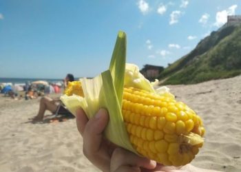 Pidió un choclo “al plato” en Mar del Plata, pero se indignó con lo que recibió: “No estamos en Brasil”