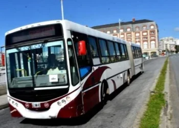 Mar del Plata sin colectivos en plena temporada por un paro por salarios atrasados