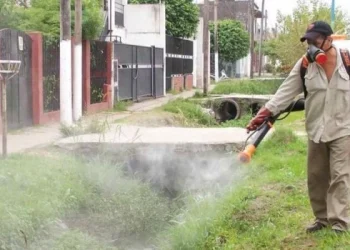 En Formosa se registran más de 1200 casos de dengue en la última semana