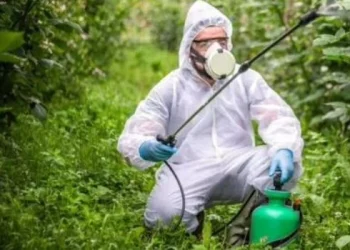 Bayer deberá pagar 2.250 millones de dólares a un hombre cuyo cáncer fue atribuido al glifosato