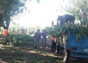 Tormenta del jueves: si bien las rutas no fueron demasiado afectadas, Vialidad trabajó intensamente