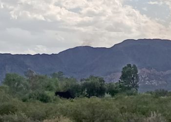 Organismos municipales y provinciales combaten el incendio en el Cerro Carrizalito