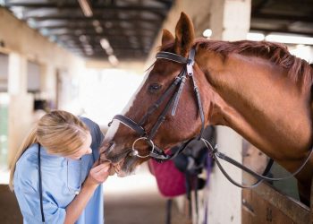 Encefalomielitis equina: confirman la muerte de al menos cuatro caballos en Mendoza