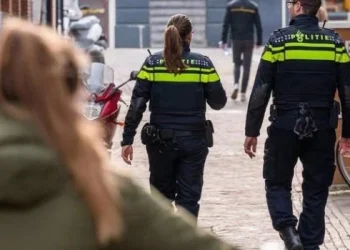 Descubren cuadros robados de Picasso y Chagall en el sótano de una casa de Amberes