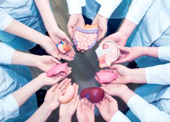 Donación de órganos: Mendoza encabeza el ranking nacional de procuración de órganos y córneas