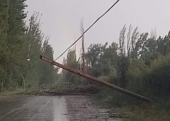 Desarrollo Social releva viviendas afectadas por la tormenta