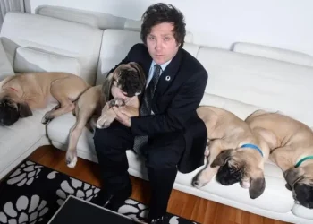 Javier Milei mostró el avance de los caniles para sus perros en Olivos