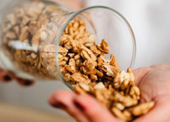 Brasil autorizó la importación de almendras de Mendoza y otras cinco provincias argentinas