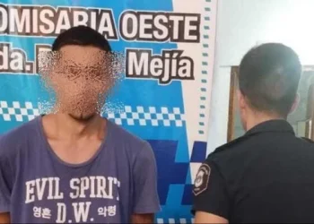 Mató a puñaladas a su sobrina, hirió a su hermana y a otra chica y lo atrapan cuando intentó matarse