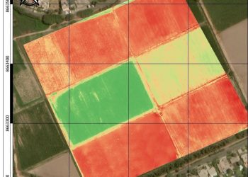 Es gratuito: el Centro de Desarrollo Vitícola y el INTA relevan con un dron los cultivos de vid para mejorar la producción