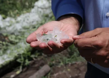 Mendoza declarará el desastre y la emergencia agropecuaria en los cuatro oasis productivos