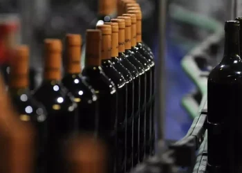 Retenciones: bodegueros mendocinos advirtieron que la industria del vino puede quebrar