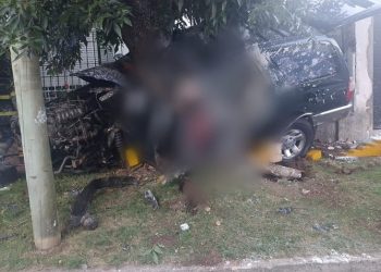 Gran Buenos Aires: Tres delincuentes murieron tras robar una camioneta