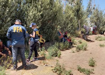 La Policía Federal allanó una finca en Malargüe y rescató a casi un centenar de personas por explotación laboral