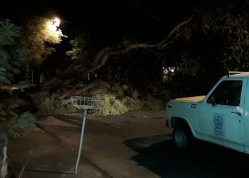 Todas las áreas municipales se encuentran trabajando tras el temporal de lluvia y granizo