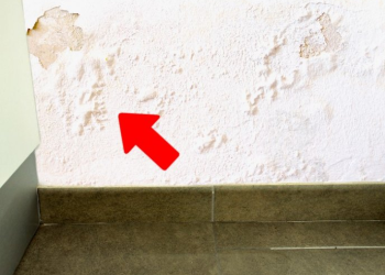 Los consejos más eficaces para combatir la humedad en las paredes de tu casa