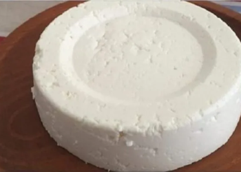 La receta para hacer un rico queso casero con un 1 litro de leche, 1 yogur y medio limón