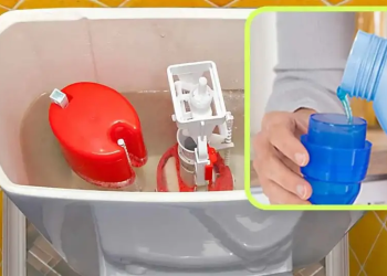 Las mejores ideas  para un olor agradable en el baño sin ambientador