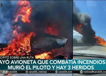 Una avioneta que combatía un incendio en Chile se estrelló en una ruta y murió el piloto