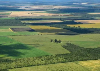 La Justicia suspendió la derogación de la ley de Tierras prevista en el DNU de Javier Milei