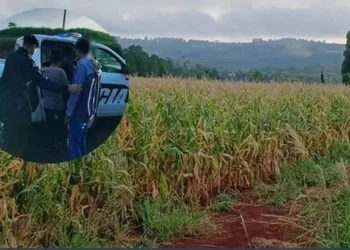 Una nena de diez años fue encontrada muerta en una plantación de maíz: detuvieron a su mamá y al padrastro