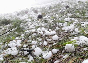 La Cámara de Comercio releva los daños en cultivos por las últimas tormentas