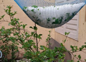 Tormenta del jueves en Las Paredes: “Por suerte solamente tuvimos una parte del distrito afectada”