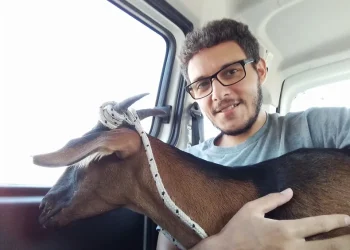 San Juan: Un vegano pagó $35 mil por una cabra para evitar que se la comieran y encabezó una campaña que se volvió viral