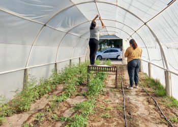 Educación técnica: “Aprender haciendo es el slogan de la escuela Francisco García”