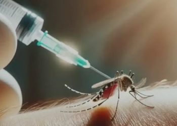 Brasil anunció su vacuna nacional contra el dengue