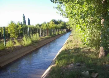 San Martín: Encontraron en una finca el cuerpo de un hombre que había caído a un canal de riego