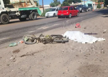 Provincia de Mendoza: Falleció al chocar su moto contra un camión y caer bajo las ruedas