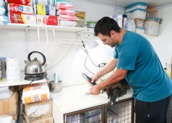 Veterinaria y Zoonosis: el Quirófano Móvil continúa circulando por los distritos