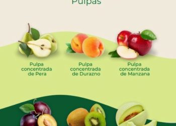 Para cocina rico y sano: lanzaron un recetario culinario a base de productos elaborados en la Pulpera de San Rafael
