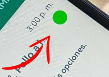 Nueva función de WhatsApp: ¿qué son los puntos verdes en los chat y cómo activarlos?
