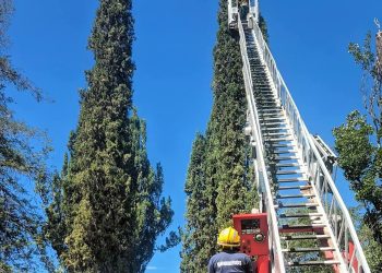 En Las Paredes: bomberos voluntarios de Salto de las Rosas realizaron poda en altura a beneficio de una escuela
