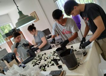 Alumnos de la escuela “Martín Miguel de Güemes” realizan pasantías en el INTA