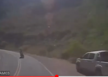 Valle Grande: motociclista casi provoca un siniestro vial. Mirá el video