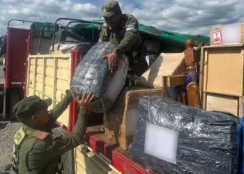 Secuestran 30 kilos de cocaína escondidos en encomiendas en Tucumán