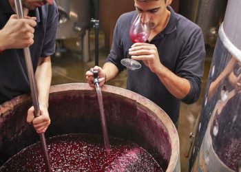 Mercado en tensión: el 17% de uva para mosto es motivo de polémica entre distintos sectores