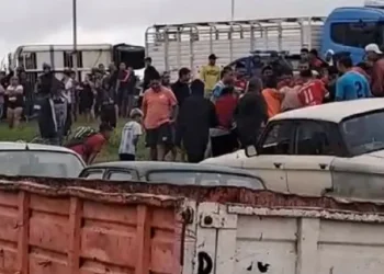 Río Cuarto: Volcó un camión con vacas y la gente los faenó en plena ruta