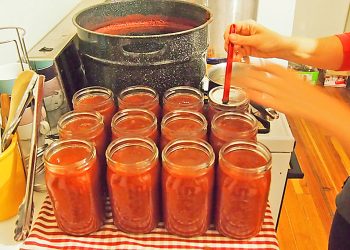 Elaboración de conservas: “Hay que envasar aquellos productos que sabemos que no son de alto riesgo para la salud”