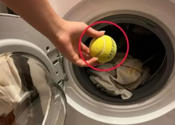 El truco de la pelotita de tenis para lavar la ropa
