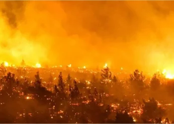 Se mudaron de la Argentina a Chile por la crisis económica y ahora viven un drama por los incendios