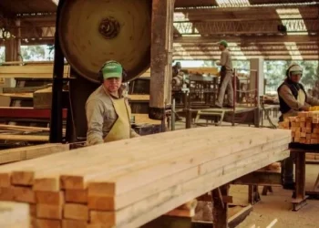 La industria de la madera se derrumbó 40% en el primer bimestre