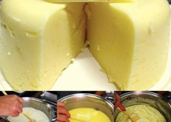 Cómo hacer un queso fresco en 15 minutos