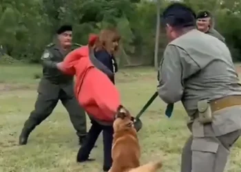 Bullrich realizó una demostración con los perros de Seguridad en Córdoba